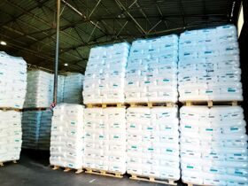 img_20250806_094215_890582