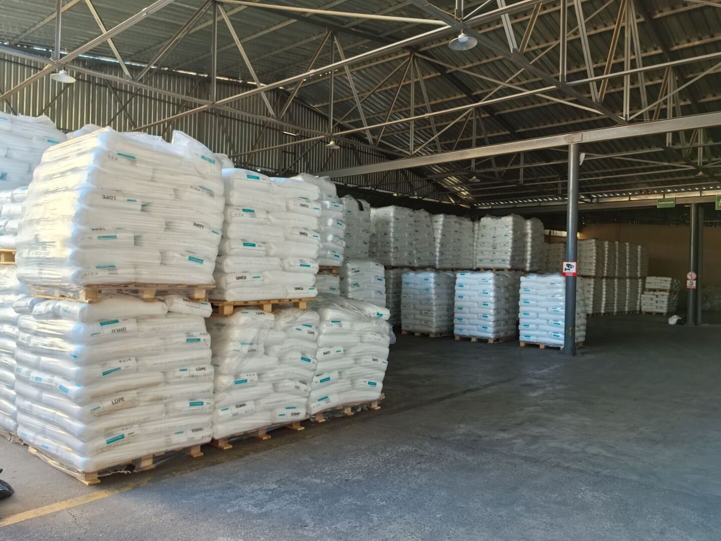 img_20250806_081956_132295