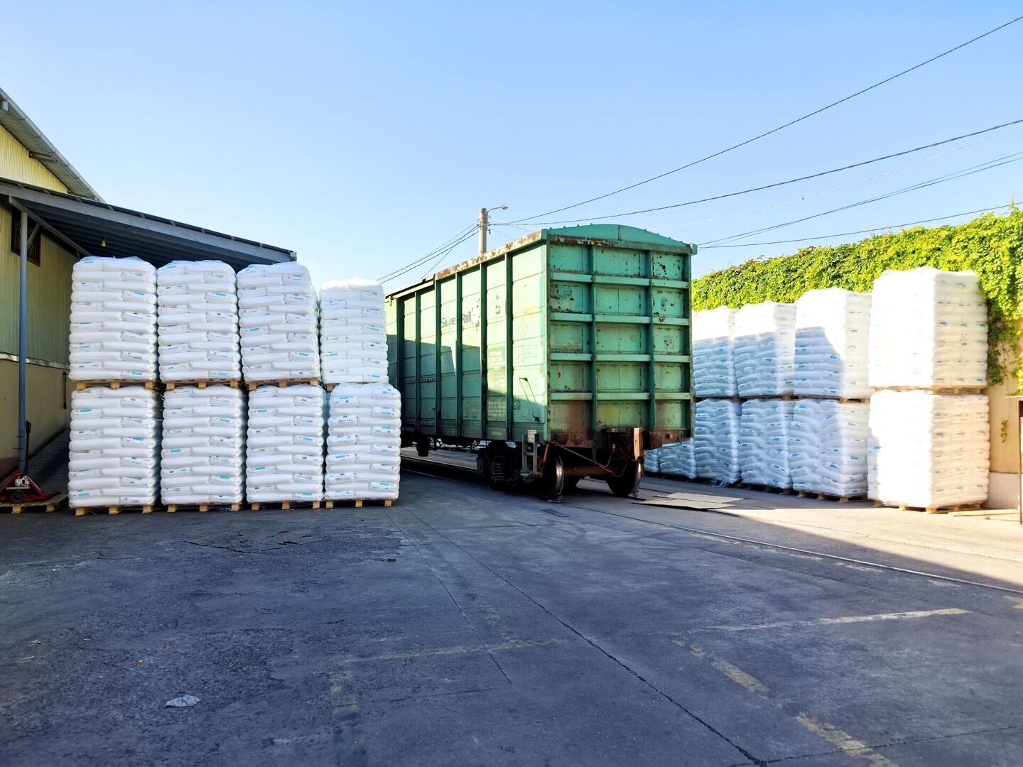 img_20250806_081905_987186